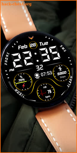 FSW220 WATCHFACE screenshot