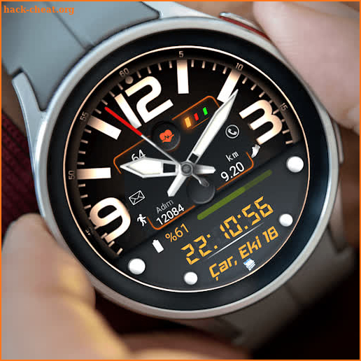 FSW244 Hybrid Watchface screenshot