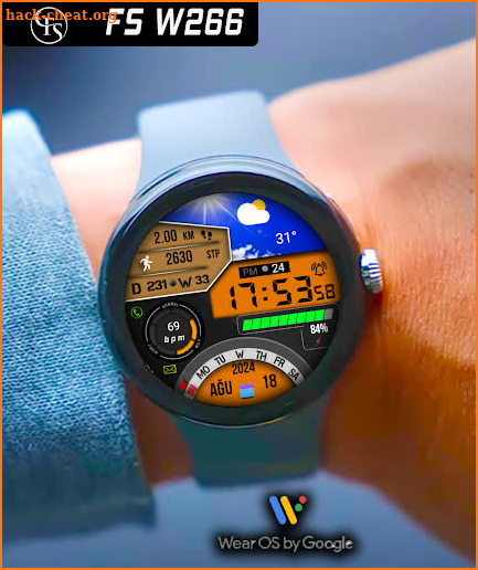 FSW266 Digital Watchface screenshot