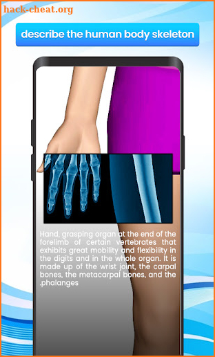 Full body scanner-Xray scanner screenshot