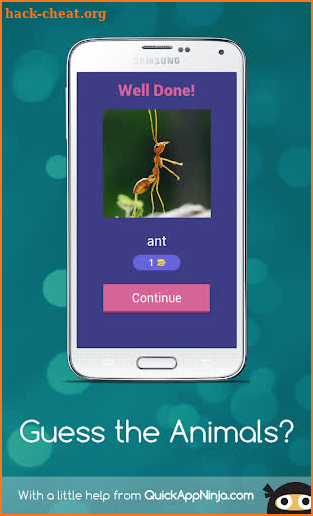 Fun Animals Quiz 2019 screenshot