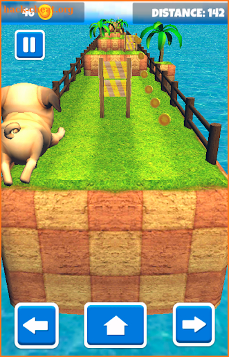 Fun puppy run screenshot