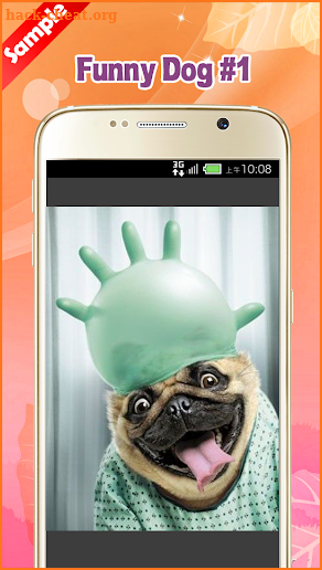 Funny Dog Pictures screenshot