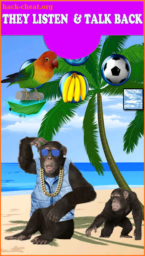 Funny Talking Monkey screenshot