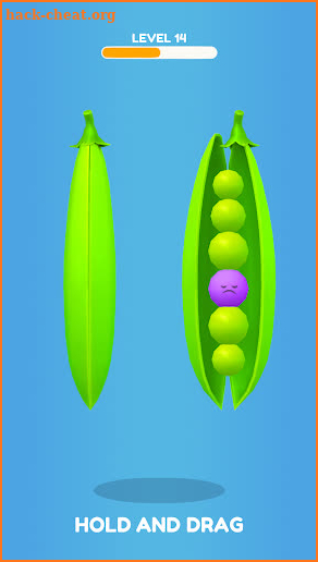 Funny Veggies screenshot