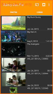 Gallery Cast Pro screenshot