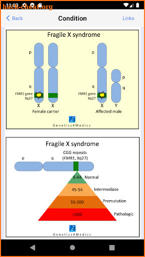 Genetics 4 Medics screenshot