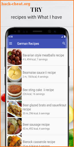 German recipes with photo offline screenshot