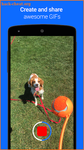 Gfycat Loops: GIF Cam+Recorder screenshot