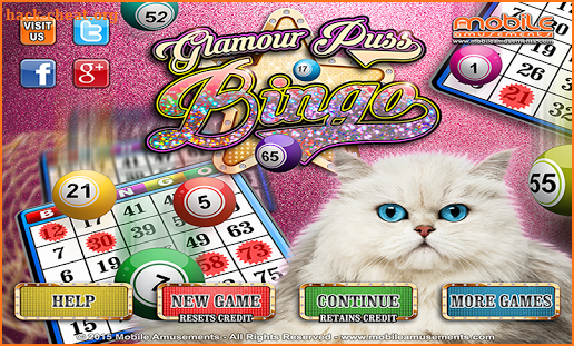 Glamour Puss Bingo Kitty Cash Cats PAID screenshot