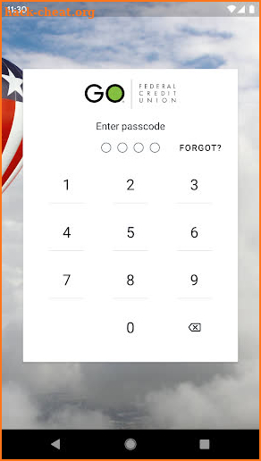 GO Federal Credit Union screenshot