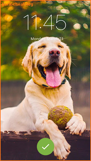 Golden Labrador Puppy Screen Lock Phone Pattern screenshot