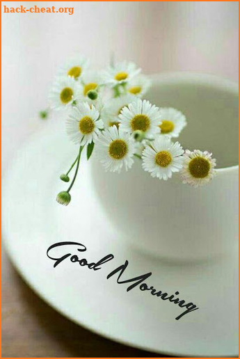 Good Morning & Flowers - Photos Gifs Wallpapers screenshot