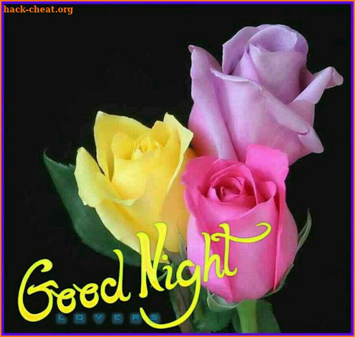 Good Night and Good evening Messages images GIF screenshot