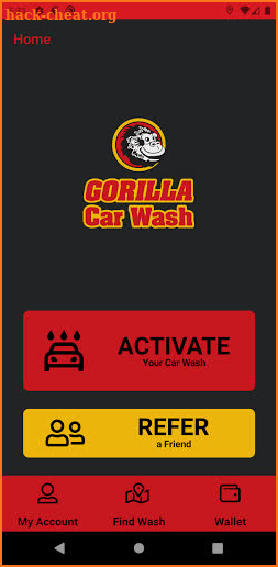 Gorilla Car Wash screenshot