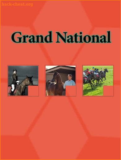 Grand National Race screenshot