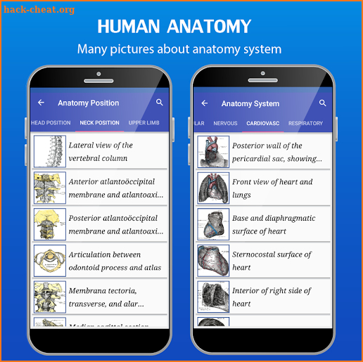 Gray's Anatomy - Atlas screenshot