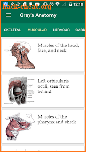 Gray's Anatomy - Atlas || Offline || Free screenshot