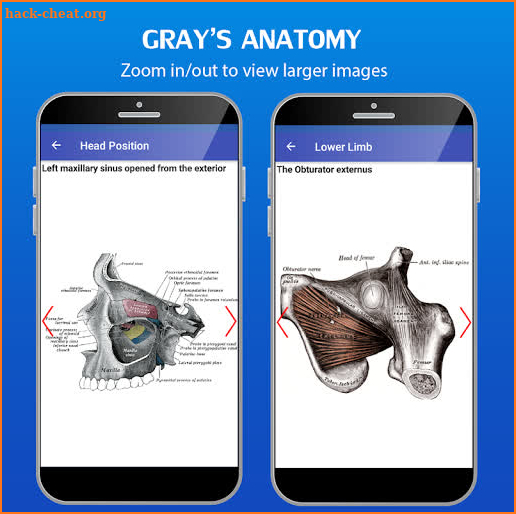 Gray's Atlas of Anatomy Pro (No Ads) screenshot