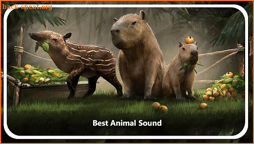 Green hell Animals Sound App screenshot