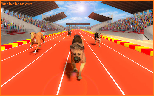 Greyhound Dog Racing Fever – Pet Racing Challenge screenshot