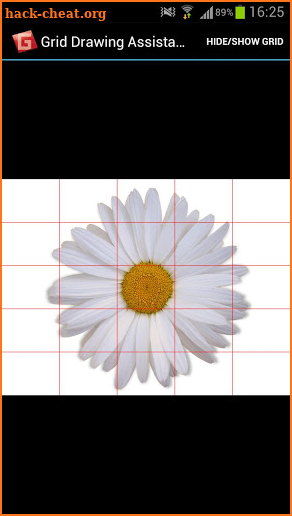 Grid Drawing Assistant screenshot