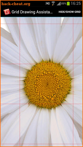 Grid Drawing Assistant screenshot