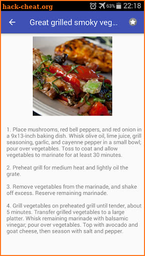 Grill recipes free, BBQ recipes offline with photo screenshot