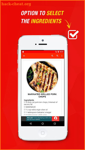 Grilled Pork Chop Recipes screenshot