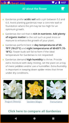 Grow Gardenia Flower screenshot