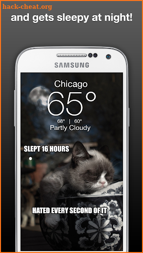 Grumpy Cat Weather screenshot