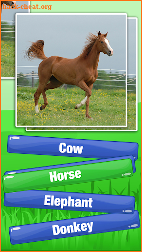 Guess The Animal Quiz Games - Animal Trivia Games screenshot