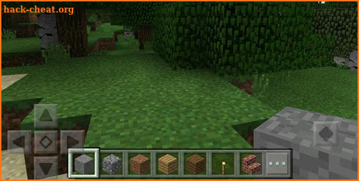 GUI Hack PE Addon screenshot