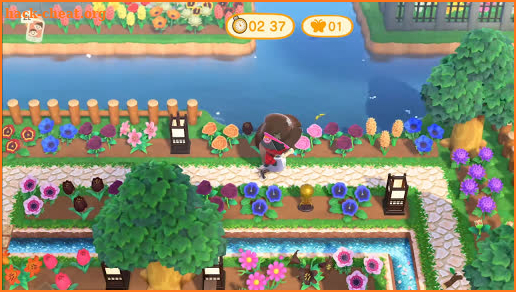 guide for animal crossing summer update screenshot