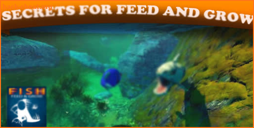 guide for fish feed and grow - simple Manual screenshot