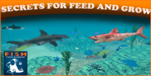 guide for fish feed and grow - simple Manual screenshot