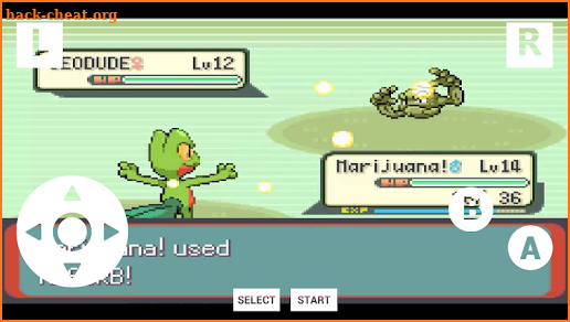 Guide for pokemon emerald GBA screenshot