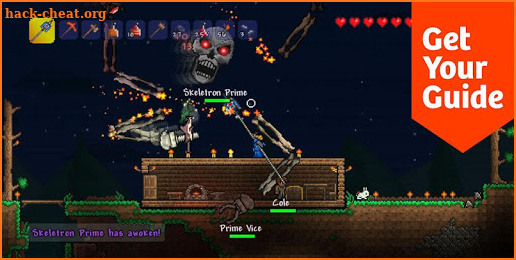 Guide for Terraria screenshot