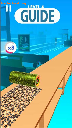 Guide Sushi Roll 3D screenshot