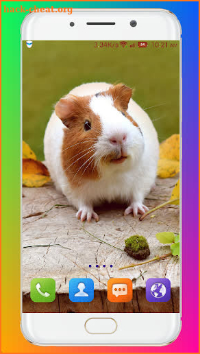 Guinea Pig Wallpaper screenshot