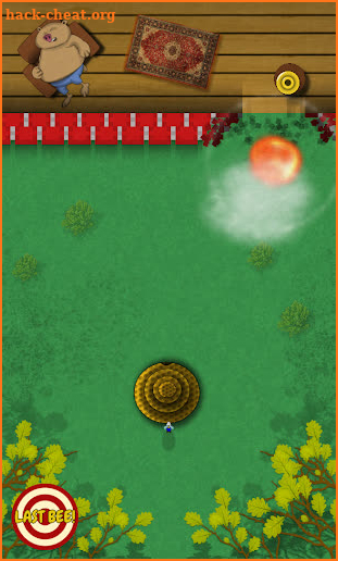 Hammer Bees screenshot