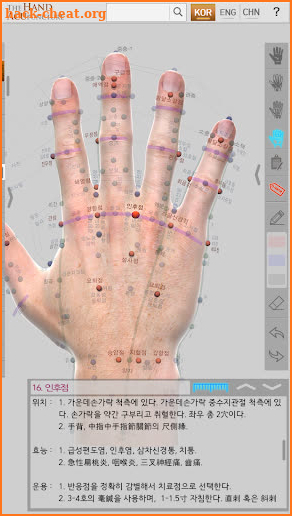 Hand Acupuncture screenshot