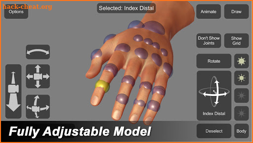 Hand Mannequin screenshot