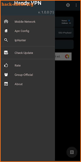 Handy VPN screenshot