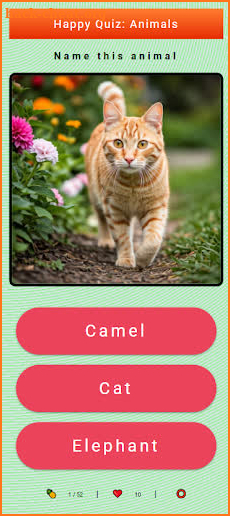 Happy Quiz: Animals (EN) screenshot