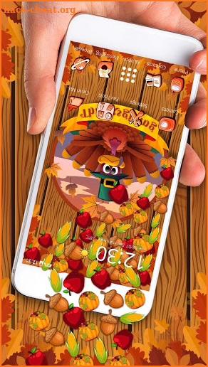 Happy Thanksgiving Gravity Theme screenshot