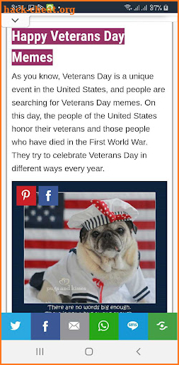 Happy Veterans Day screenshot