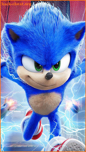 HD Hedgehog Wallpaper 2020 screenshot