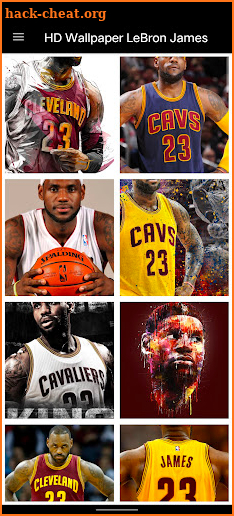 HD Wallpaper LeBron James screenshot