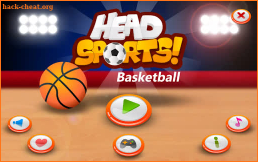 Head Sports Basketball screenshot